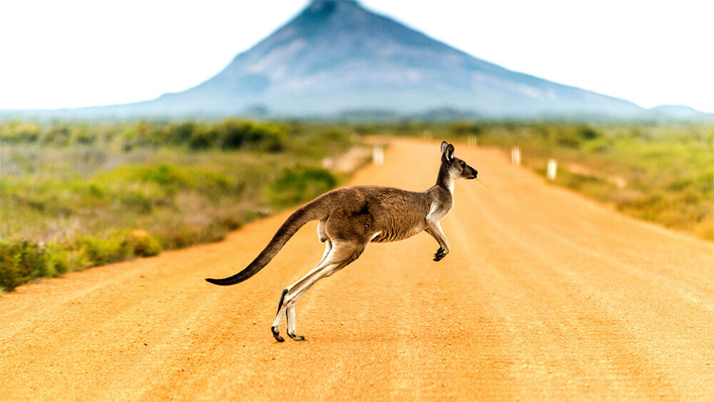 Courier To Australia